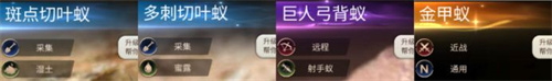 小小蚁国国际服