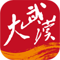 长江日报