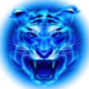 四虎影视最新版