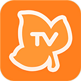 枫蜜助手app安卓版
