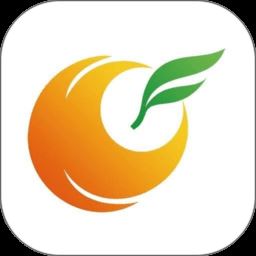 长汀论坛app