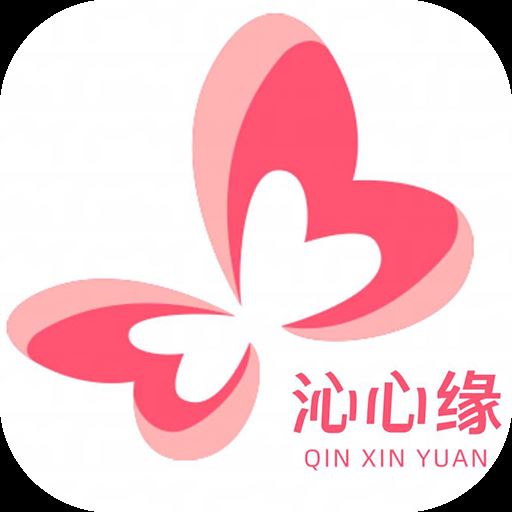 沁心缘小说
