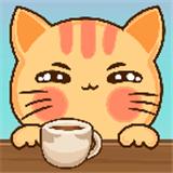 奇妙猫之家