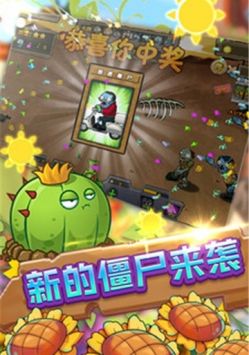 相关图片
