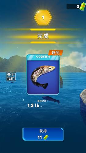 俄罗斯钓鱼4