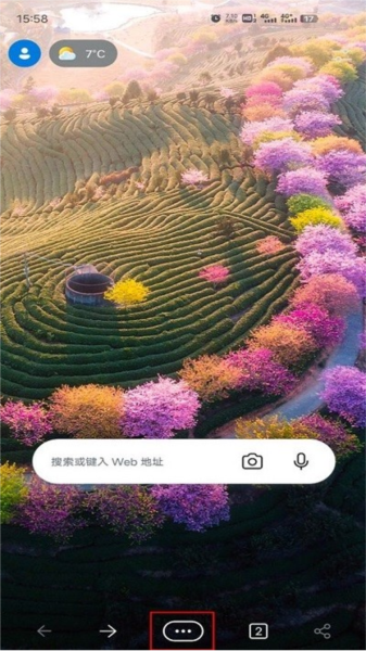 edge浏览器夜间模式设置教程 微软浏览器软件图片3