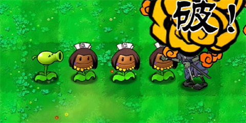 植物介绍配图1