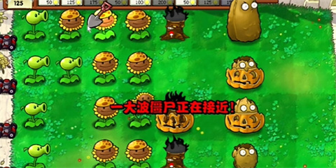植物介绍配图3