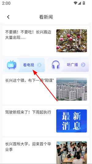掌心长兴