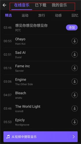 VivaCut8
