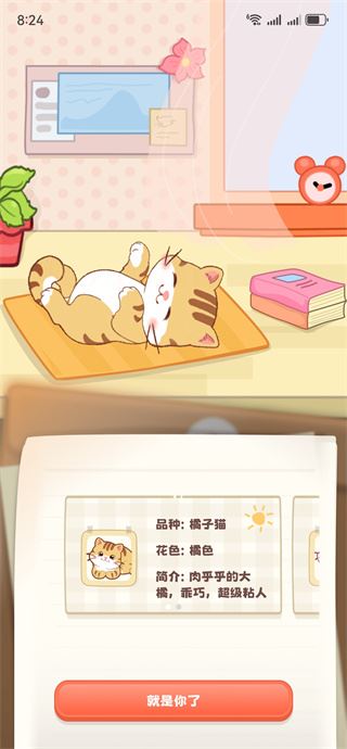 桌面喵app下载官方正版