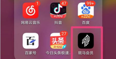 斑马会员图片7