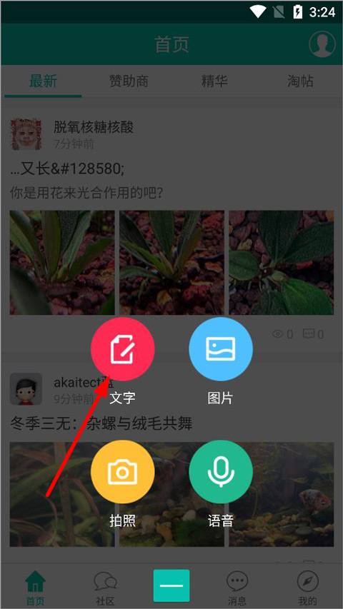 南美水族论坛图片3