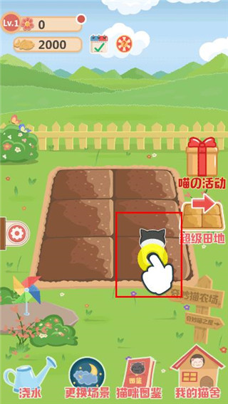 奇妙猫之家图片5
