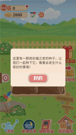 奇妙猫之家图片2