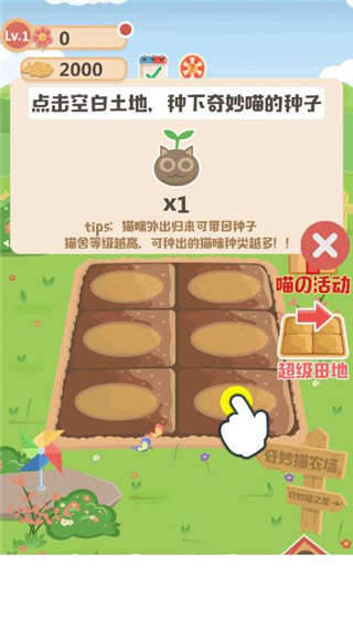 奇妙猫之家图片3