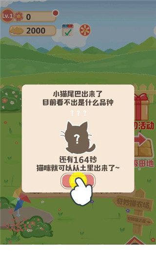 奇妙猫之家图片4