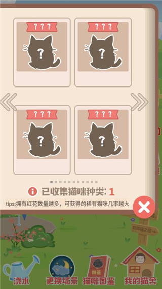 奇妙猫之家图片8