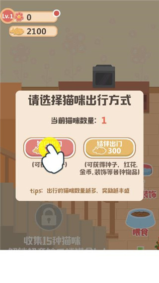 奇妙猫之家图片6