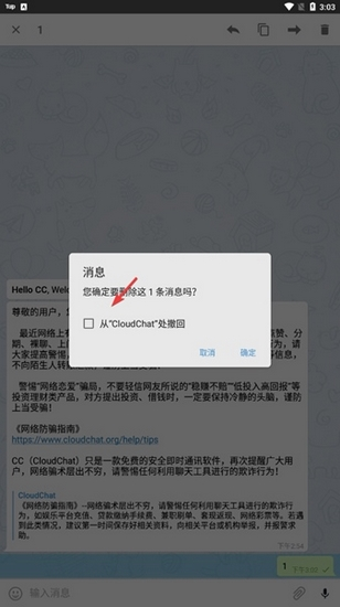 CloudChat图10