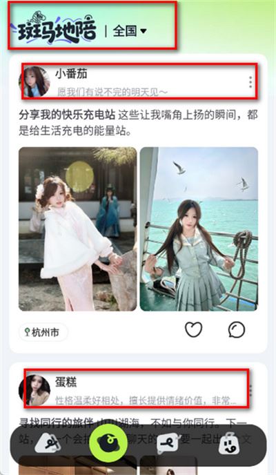 斑马地陪