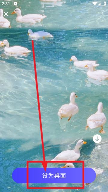 萌绘壁纸app 萌绘壁纸app
