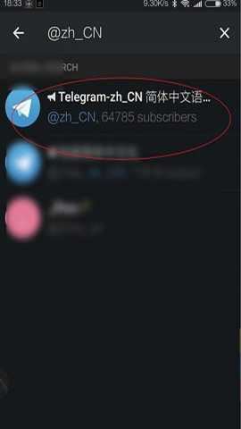 telegreat 12.8.3 汉化版