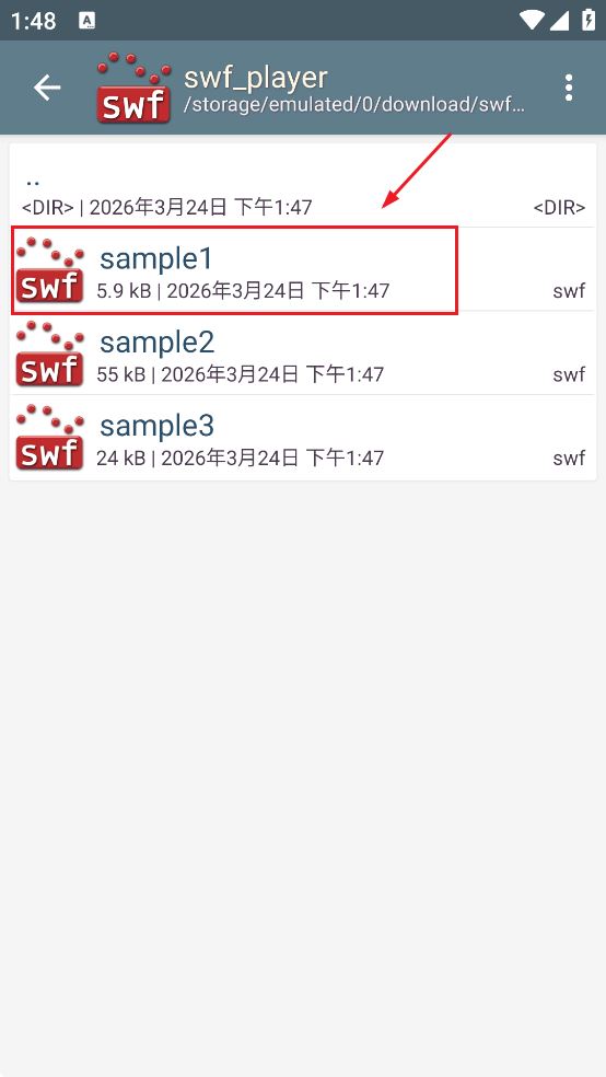 SWF播放器专业版