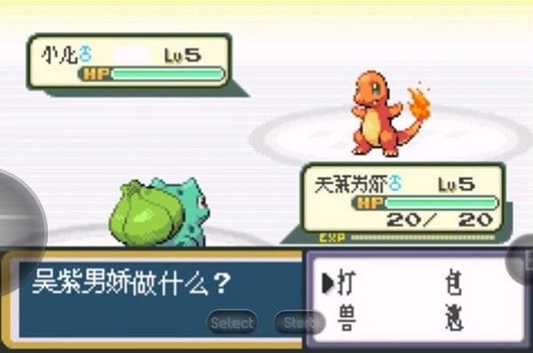 相关图片