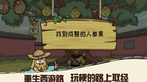 相关图片