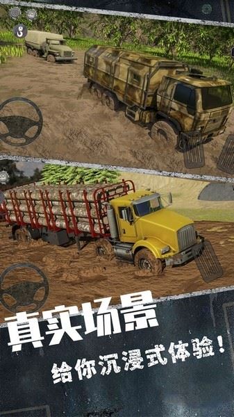 相关图片