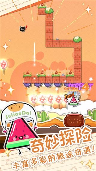 相关图片