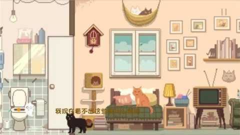 相关图片