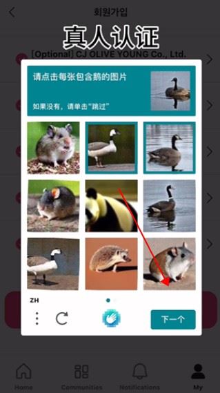 pluschat官方最新版
