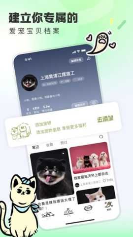 相关图片