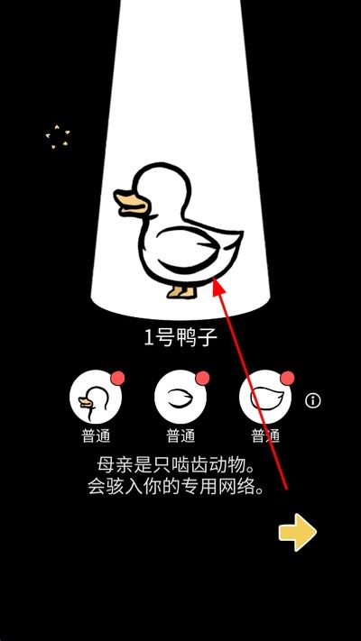 奇怪的鸭子无广告