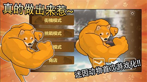 相关图片