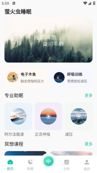 萤火虫睡眠