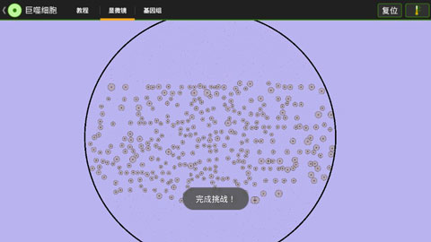 细胞实验室-1.jpg