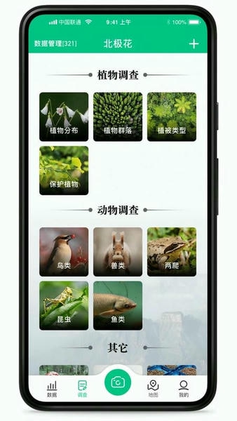 北极花生物调查-1.jpg