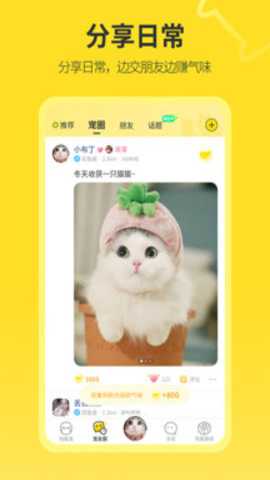 相关图片