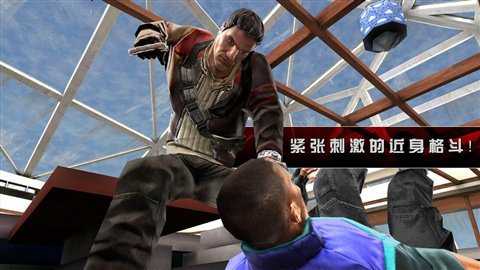 相关图片