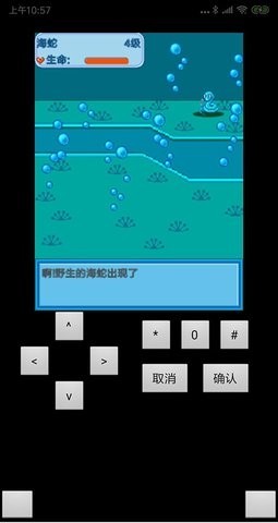 相关图片