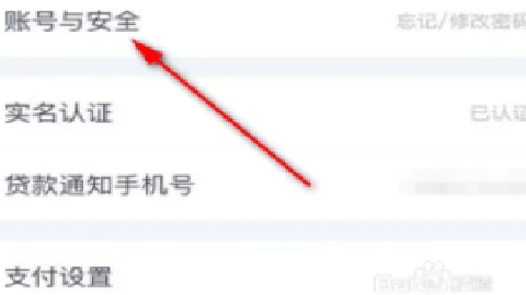 百度有钱花 9.5.6 安卓版