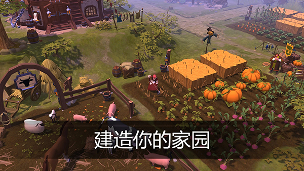 相关图片