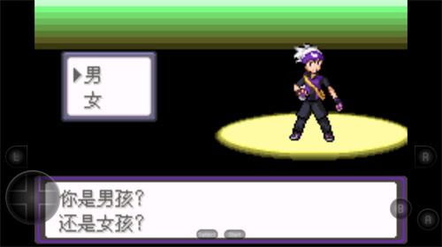 口袋妖怪漆黑的魅影