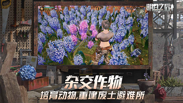 相关图片