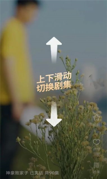 相关图片